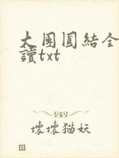 大团圆结全文阅读txt