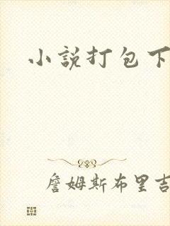 小说打包下载