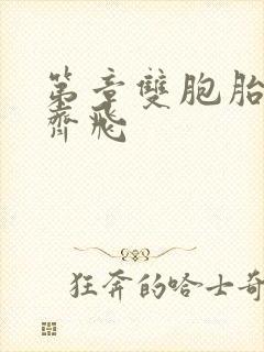 第章双胞胎姐妹齐飞