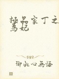 极品家丁之册母为妃