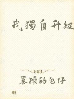 我独自升级2