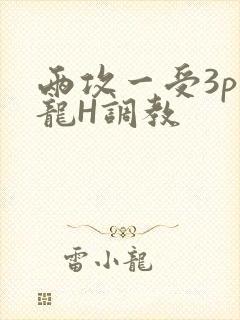 两攻一受3p双龙H调教