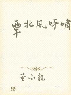 西北风呼啸的中午