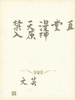 禁天漫堂直接进入原神