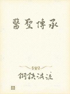 医圣传承封面
