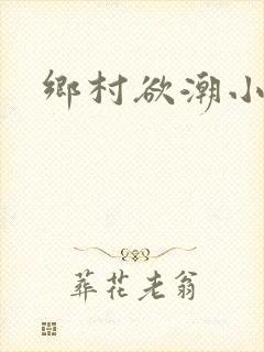 乡村欲潮小说封面