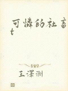 可怜的社畜txt