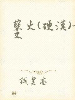 孽火(硬汉)今又封面