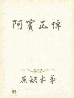 阿宾正传
