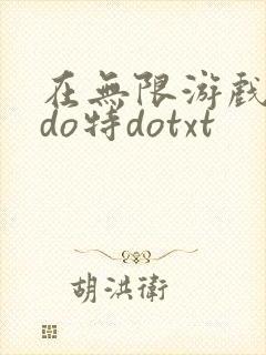 在无限游戏大里do特dotxt封面