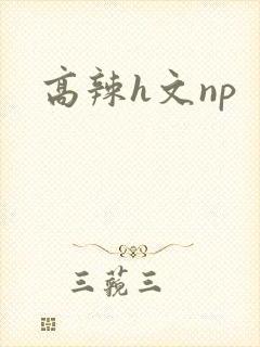 高辣h文np