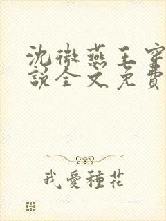 沈微燕王穿越小说全文免费阅读