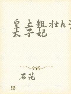 皇上粗壮h灌满太子妃
