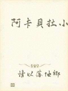阿卡贝拉小说