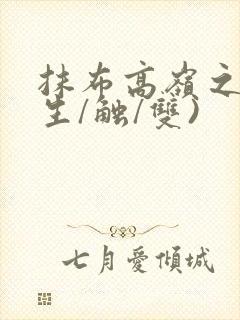 书籍封面