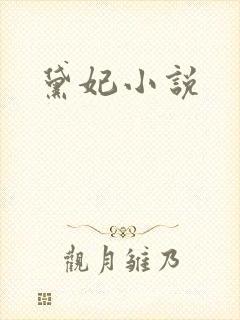 黛妃小说