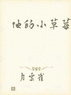 他的小草莓