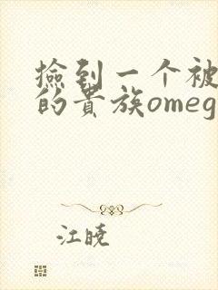 捡到一个被抹布的贵族omega封面