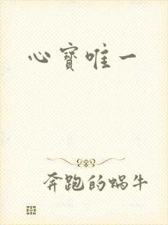 心宝唯一