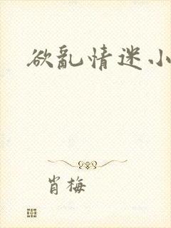 欲乱情迷小说