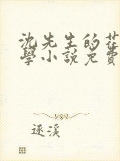 沈先生的花式教学小说免费