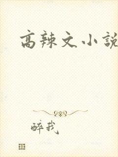 高辣文小说封面