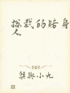 总裁的赔身小情人封面