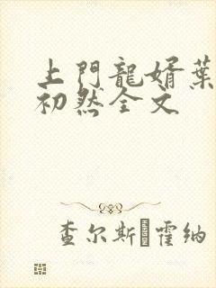 上门龙婿叶辰萧初然全文