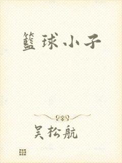 篮球小子