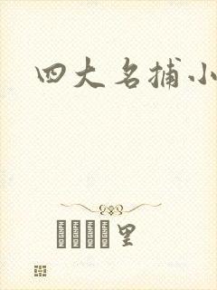 四大名捕小说