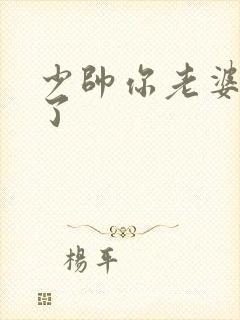 少帅你老婆又跑了