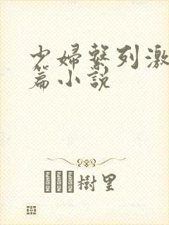 少妇系列激情短篇小说封面