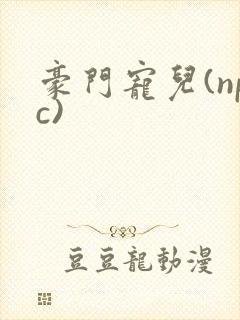 豪门宠儿(npc)