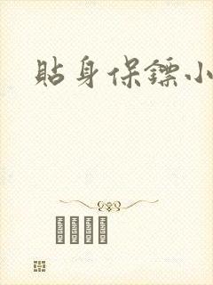 贴身保镖小说封面