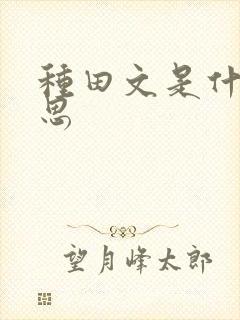 种田文是什么意思