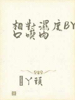 相对湿度BY大口吃肉