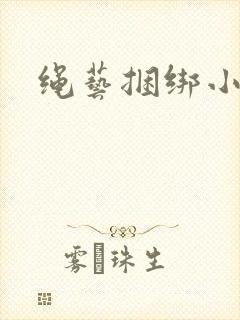 绳艺捆绑小说