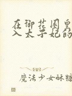 在御花园皇上进入太子妃的小说