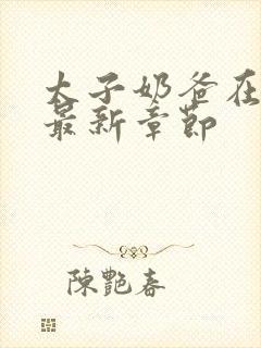 太子奶爸在花都最新章节封面