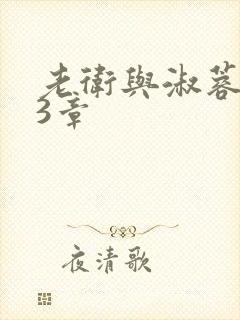 老卫与淑蓉第13章封面