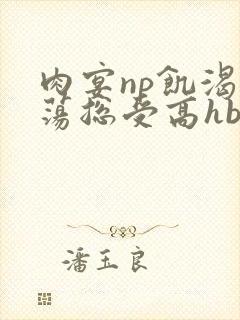 肉宴np饥渴放荡总受高hbl