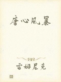 唐心风暴封面