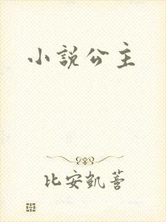 小说公主封面