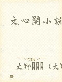 文心阁小说