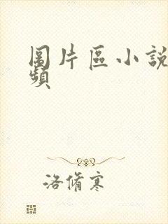 图片区小说区视频封面