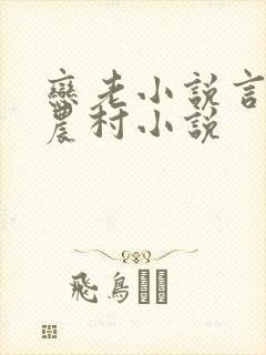 恋老小说言情网农村小说