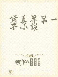 修真界第一病秧子小说