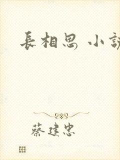 长相思 小说封面