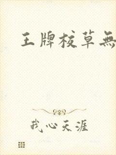 王牌校草无限爱封面