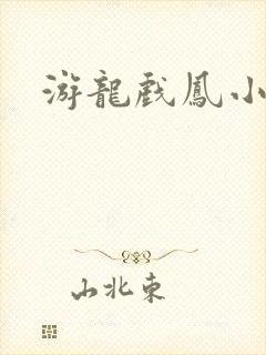 游龙戏凤小说
